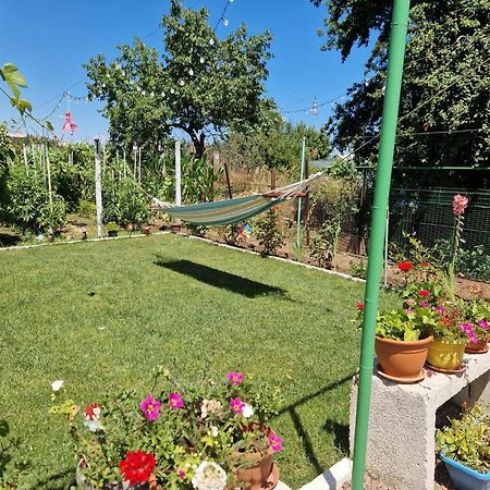 Casa Simona Ξενοδοχείο Două Mai Εξωτερικό φωτογραφία