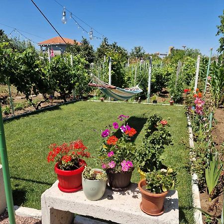 Casa Simona Ξενοδοχείο Două Mai Εξωτερικό φωτογραφία