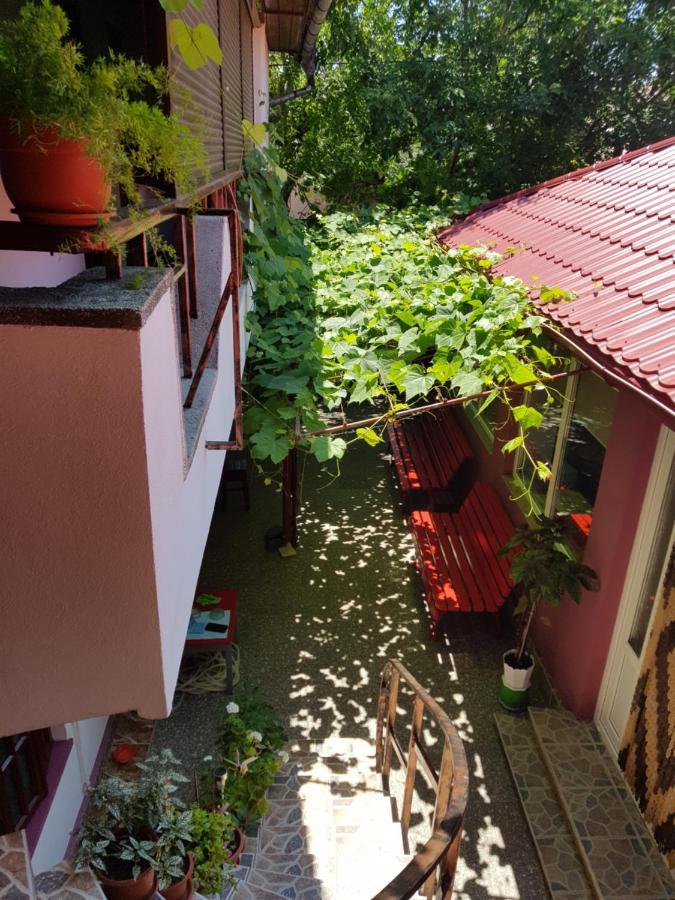 Casa Simona Ξενοδοχείο Două Mai Εξωτερικό φωτογραφία