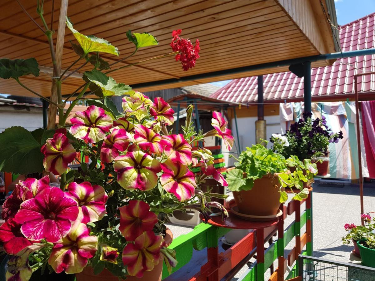 Casa Simona Ξενοδοχείο Două Mai Εξωτερικό φωτογραφία