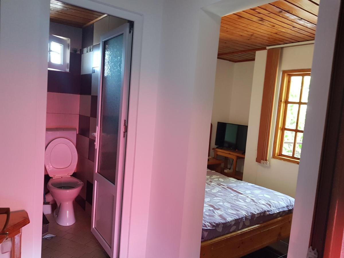 Casa Simona Ξενοδοχείο Două Mai Εξωτερικό φωτογραφία