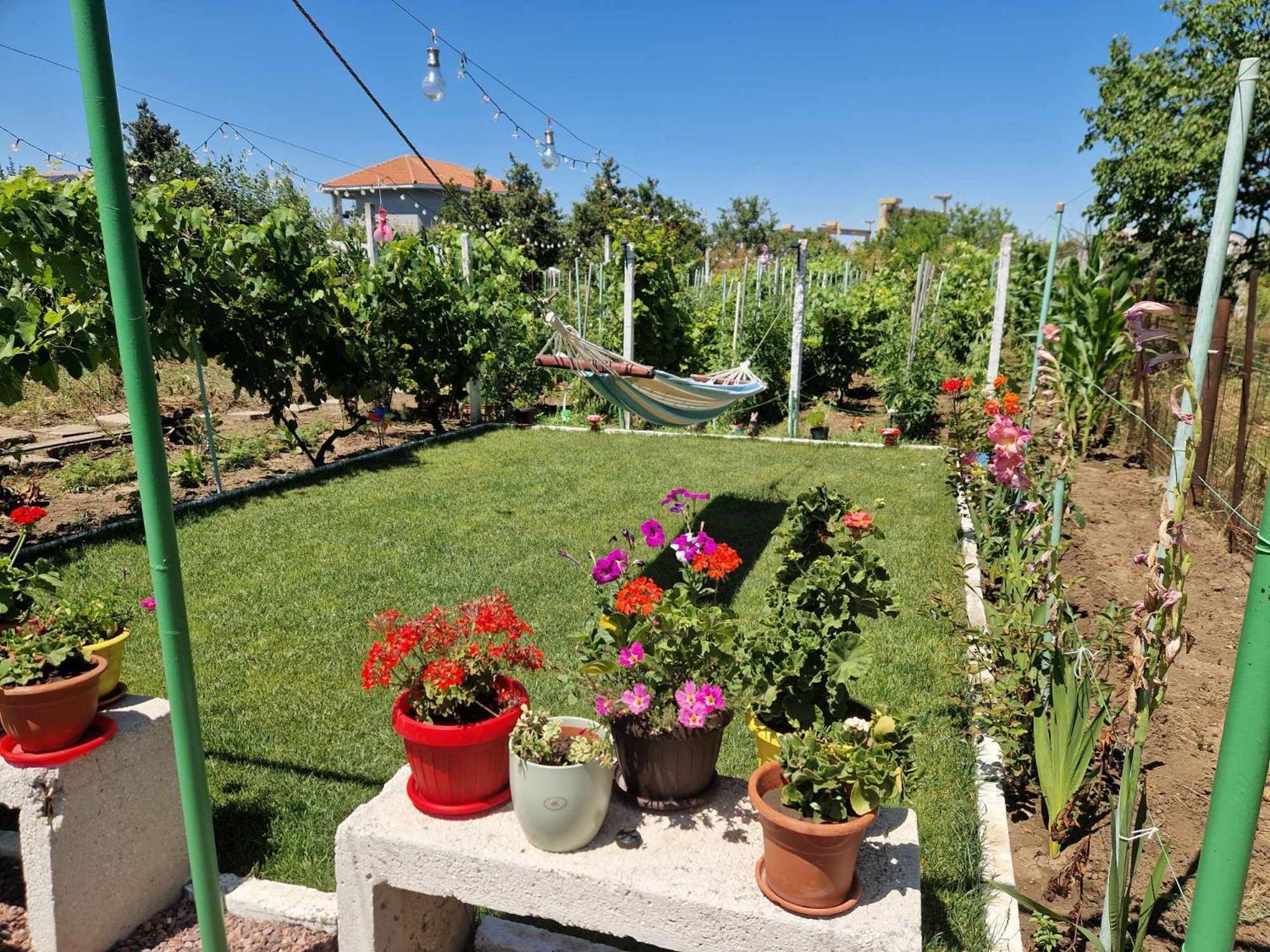 Casa Simona Ξενοδοχείο Două Mai Εξωτερικό φωτογραφία